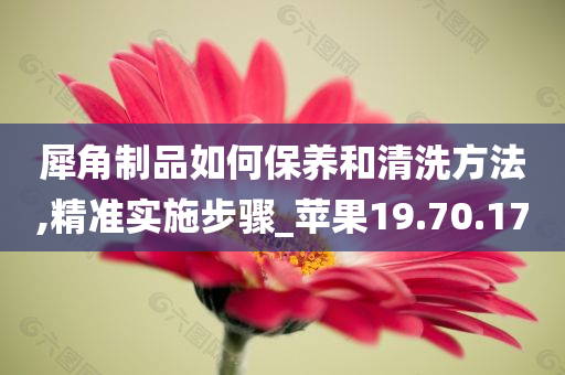 犀角制品如何保养和清洗方法,精准实施步骤_苹果19.70.17