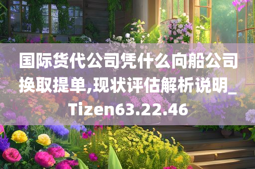 国际货代公司凭什么向船公司换取提单,现状评估解析说明_Tizen63.22.46