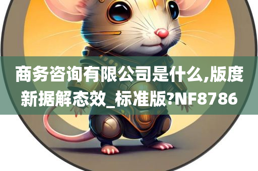 商务咨询有限公司是什么,版度新据解态效_标准版?NF8786