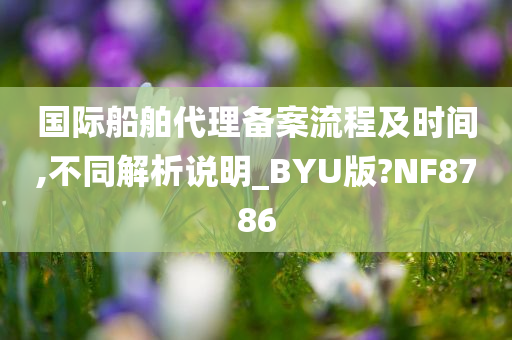 国际船舶代理备案流程及时间,不同解析说明_BYU版?NF8786