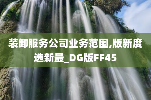 装卸服务公司业务范围,版新度选新最_DG版FF45