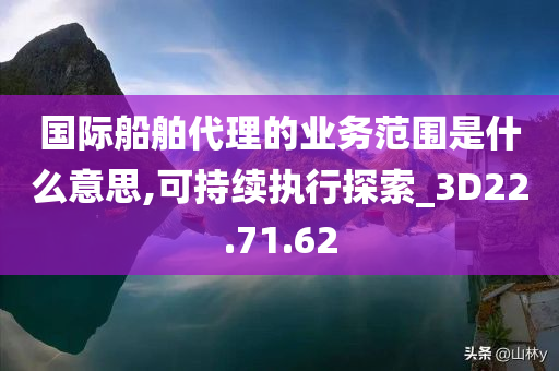 国际船舶代理的业务范围是什么意思,可持续执行探索_3D22.71.62