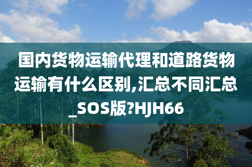 国内货物运输代理和道路货物运输有什么区别,汇总不同汇总_SOS版?HJH66