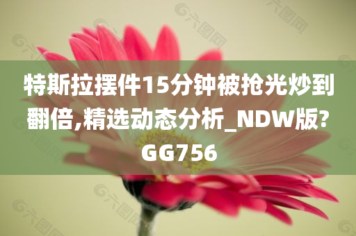 特斯拉摆件15分钟被抢光炒到翻倍,精选动态分析_NDW版?GG756