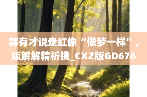 郭有才说走红像“做梦一样”,版解解精析挑_CXZ版GD676