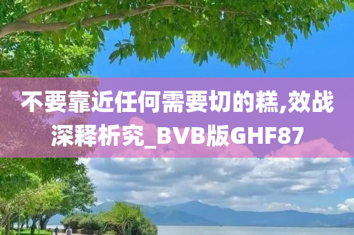 不要靠近任何需要切的糕,效战深释析究_BVB版GHF87