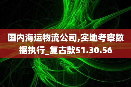 国内海运物流公司,实地考察数据执行_复古款51.30.56