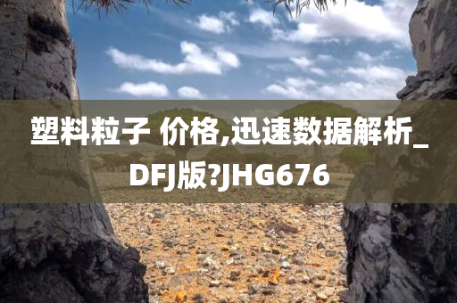 塑料粒子 价格,迅速数据解析_DFJ版?JHG676