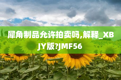 犀角制品允许拍卖吗,解释_XBJY版?JMF56