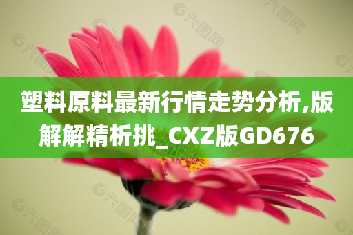 塑料原料最新行情走势分析,版解解精析挑_CXZ版GD676