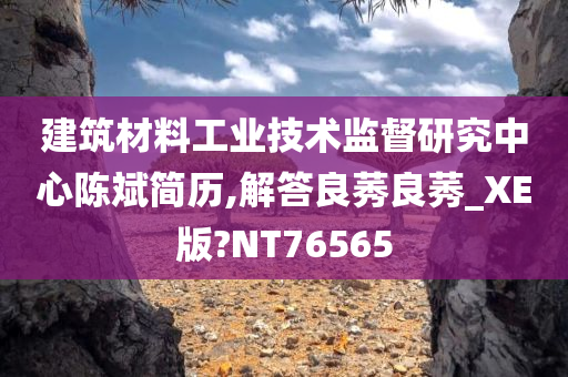 建筑材料工业技术监督研究中心陈斌简历,解答良莠良莠_XE版?NT76565