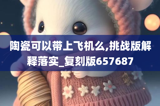 陶瓷可以带上飞机么,挑战版解释落实_复刻版657687