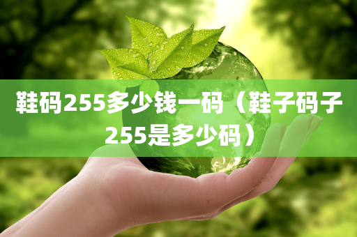 鞋码255多少钱一码（鞋子码子255是多少码）