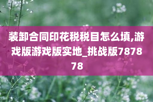 装卸合同印花税税目怎么填,游戏版游戏版实地_挑战版787878