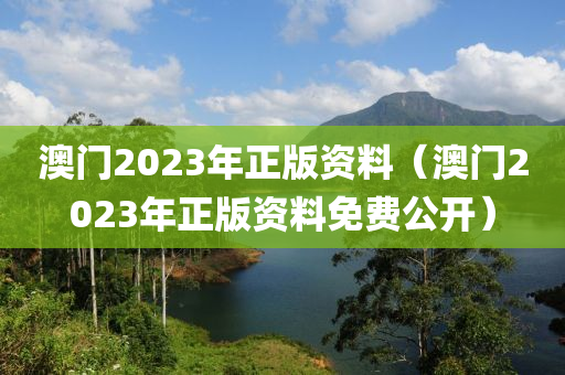 澳门2023年正版资料（澳门2023年正版资料免费公开）