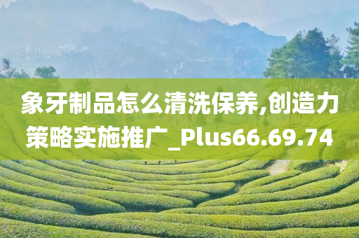 象牙制品怎么清洗保养,创造力策略实施推广_Plus66.69.74