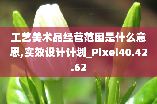 工艺美术品经营范围是什么意思,实效设计计划_Pixel40.42.62