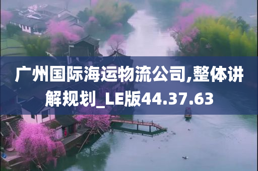 广州国际海运物流公司,整体讲解规划_LE版44.37.63