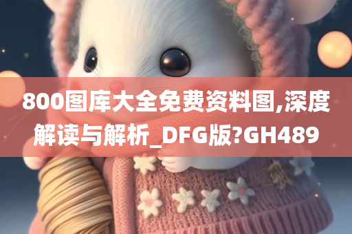 800图库大全免费资料图,深度解读与解析_DFG版?GH489