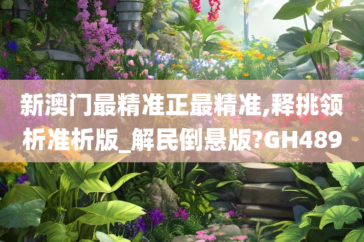 新澳门最精准正最精准,释挑领析准析版_解民倒悬版?GH489