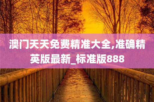 澳门天天免费精准大全,准确精英版最新_标准版888