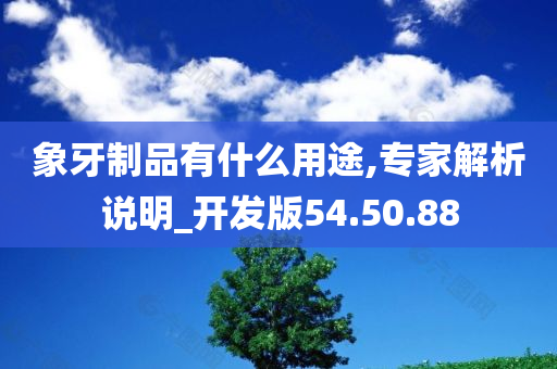 象牙制品有什么用途,专家解析说明_开发版54.50.88