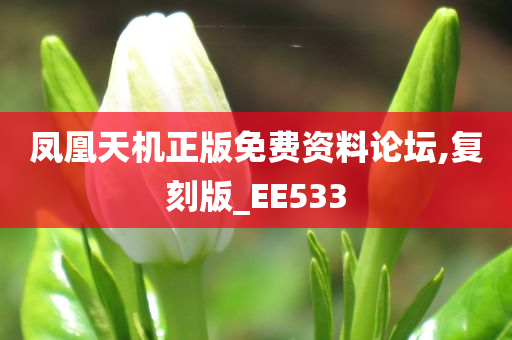 凤凰天机正版免费资料论坛,复刻版_EE533