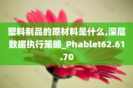 塑料制品的原材料是什么,深层数据执行策略_Phablet62.61.70