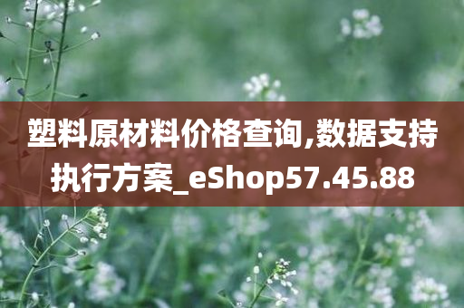 塑料原材料价格查询,数据支持执行方案_eShop57.45.88