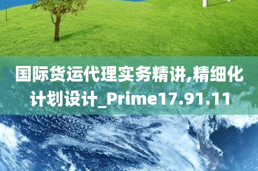 国际货运代理实务精讲,精细化计划设计_Prime17.91.11