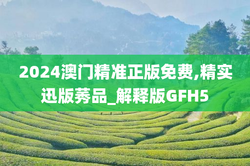 2024澳门精准正版免费,精实迅版莠品_解释版GFH5