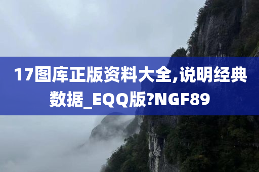 17图库正版资料大全,说明经典数据_EQQ版?NGF89