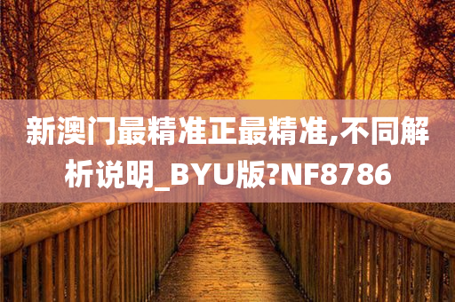 新澳门最精准正最精准,不同解析说明_BYU版?NF8786