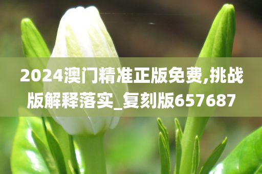 2024澳门精准正版免费,挑战版解释落实_复刻版657687