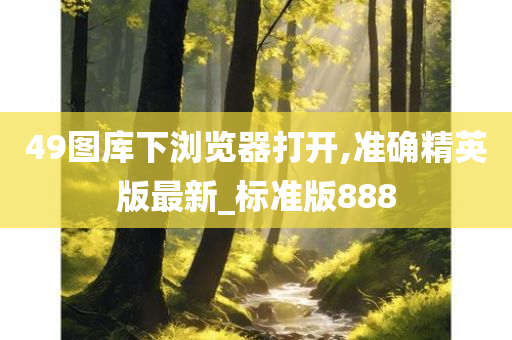 49图库下浏览器打开,准确精英版最新_标准版888