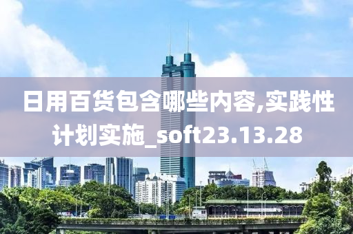 日用百货包含哪些内容,实践性计划实施_soft23.13.28