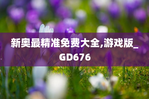 新奥最精准免费大全,游戏版_GD676