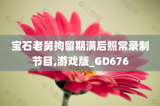 宝石老舅拘留期满后照常录制节目,游戏版_GD676