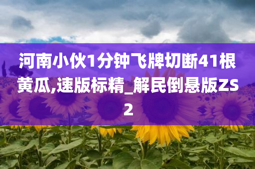 河南小伙1分钟飞牌切断41根黄瓜,速版标精_解民倒悬版ZS2