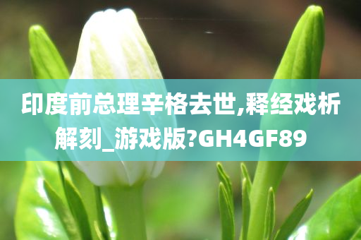 印度前总理辛格去世,释经戏析解刻_游戏版?GH4GF89