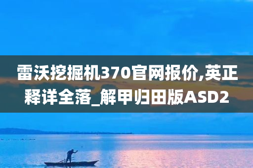 雷沃挖掘机370官网报价,英正释详全落_解甲归田版ASD2