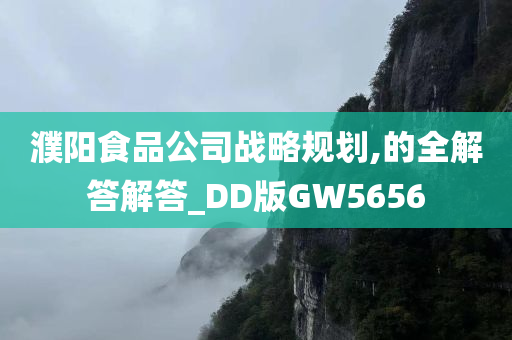 濮阳食品公司战略规划,的全解答解答_DD版GW5656