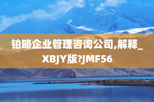 铂略企业管理咨询公司,解释_XBJY版?JMF56