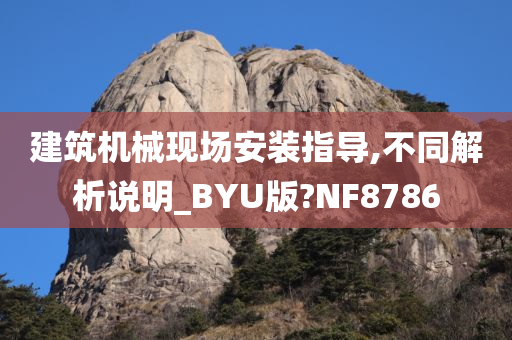 建筑机械现场安装指导,不同解析说明_BYU版?NF8786