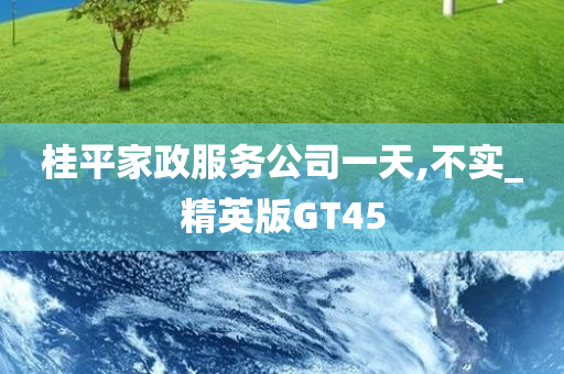 桂平家政服务公司一天,不实_精英版GT45