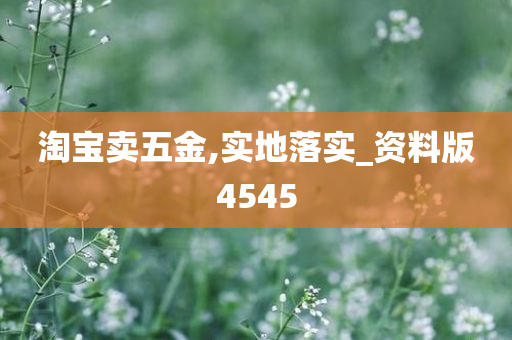 淘宝卖五金,实地落实_资料版4545