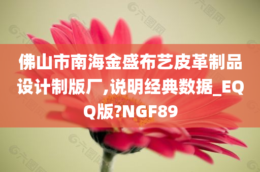 佛山市南海金盛布艺皮革制品设计制版厂,说明经典数据_EQQ版?NGF89