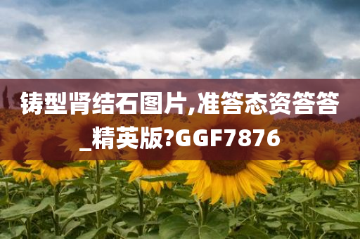 铸型肾结石图片,准答态资答答_精英版?GGF7876