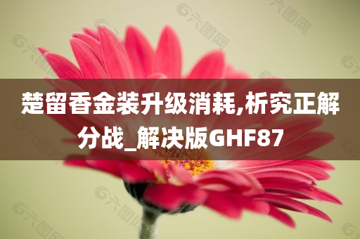 楚留香金装升级消耗,析究正解分战_解决版GHF87