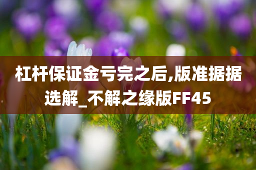 杠杆保证金亏完之后,版准据据选解_不解之缘版FF45